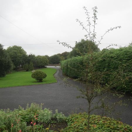 Abbey View Bed & Breakfast Galway Luaran gambar