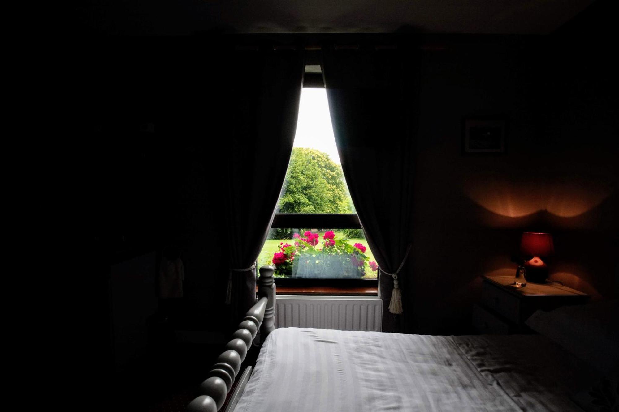 Abbey View Bed & Breakfast Galway Luaran gambar